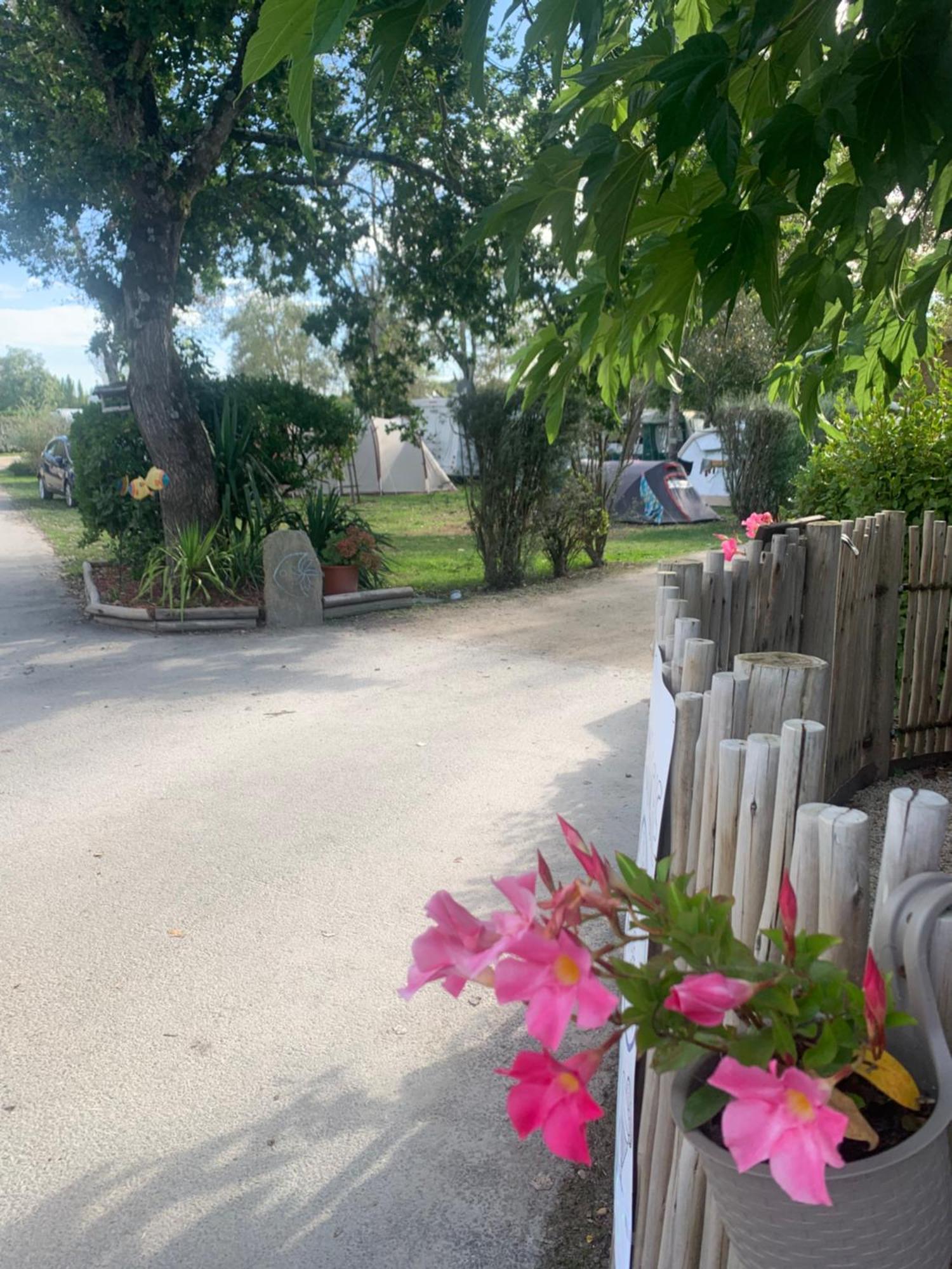 Camping Paradis Le Moulin Des Oies Belz Ngoại thất bức ảnh